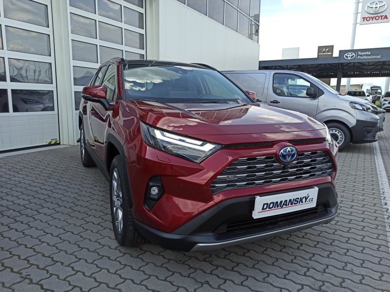 Toyota RAV4 2.5HEV(4×2) Executive, Skyview full